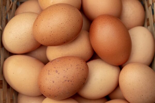 Can you Whip Egg Whites in a Blender?