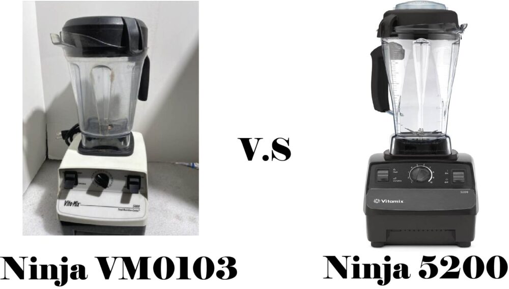 Vitamix VM0103 vs 5200, Similarities and differences